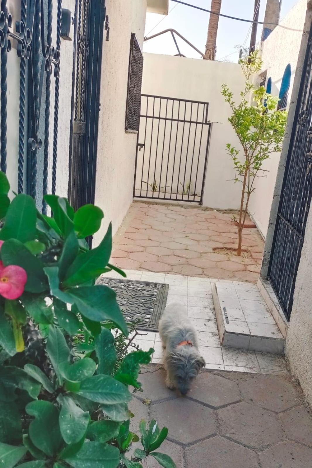 Appartamento La Casa Del Pescador La Paz Esterno foto